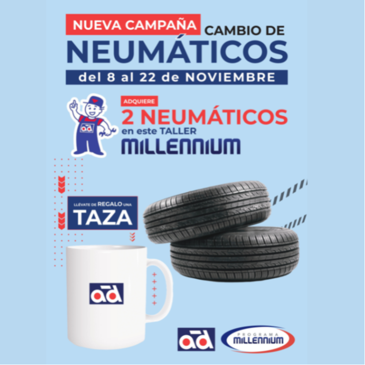 Campaña Neumáticos octubre 2025